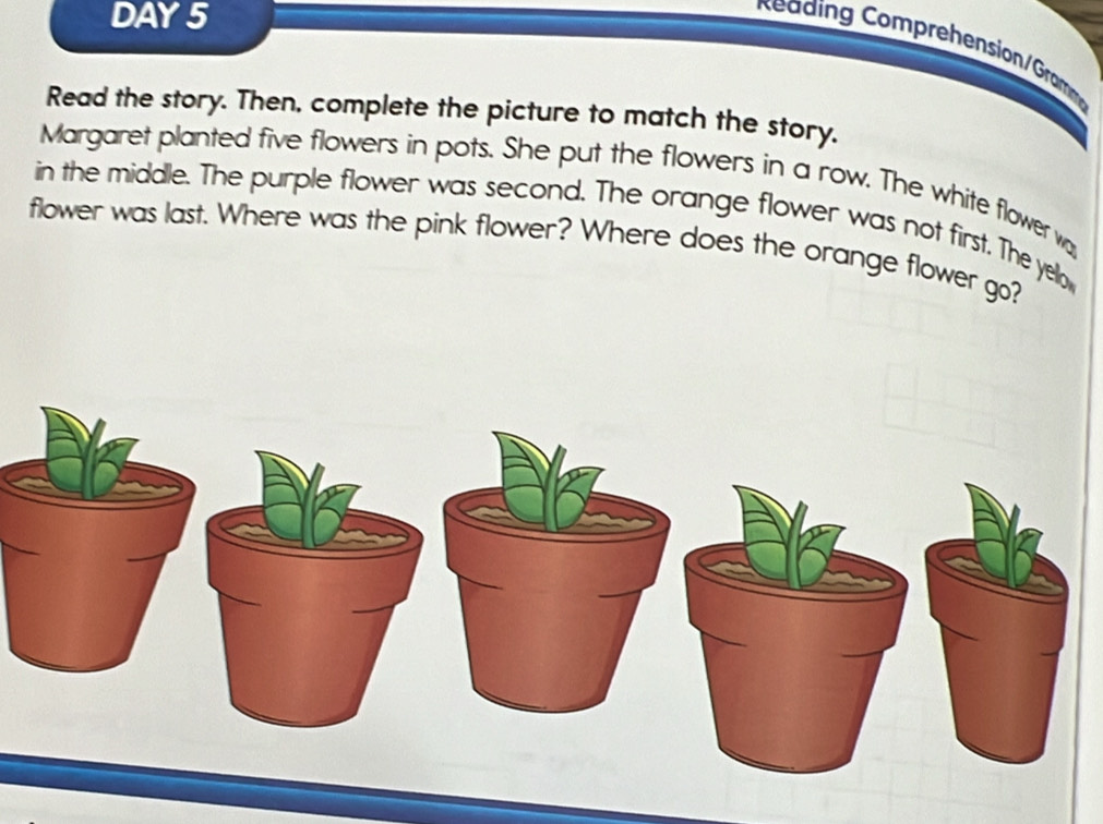 DAY 5 
Reading Comprehension/Gramm 
Read the story. Then, complete the picture to match the story, 
Margaret planted five flowers in pots. She put the flowers in a row. The white flower w, 
in the middle. The purple flower was second. The orange flower was not first. The yello 
flower was last. Where was the pink flower? Where does the orange flower go?