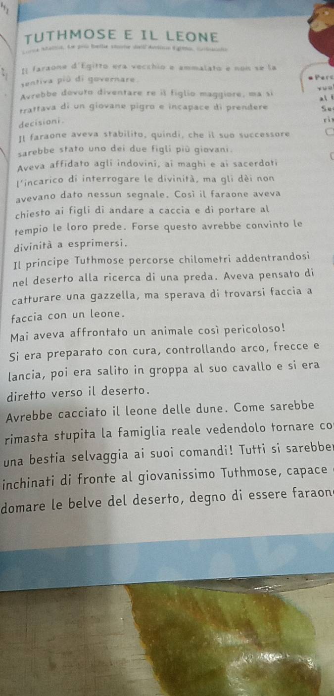 TUTHMOSE E IL LEONE 
Lomna Anattio, Le polu Ibetle stonior daill Auvtócc Eigréno, cutacaión 
Il faraone d'Egitto era vecchio e ammalato e non se la 
sentiva più di governare. * Perc 
Avrebbe devuto diventare re il figlio maggiore, ma si yu□ 
trattava di un giovane pigro e incapace di prendere al í 
Su 
decisioni. 
rì 
Il faraone aveva stabilito, quindi, che il suo successore 
sarebbe stato uno dei due figli più giovani. 
Aveva affidato agli indovini, ai maghi e ai sacerdoti 
l'incarico di interrogare le divinità, ma gli dèi non 
avevano dato nessun segnale. Così il faraone aveva 
chiesto ai figli di andare a caccia e di portare al 
tempio le loro prede. Forse questo avrebbe convinto le 
divinità a esprimersi. 
Il principe Tuthmose percorse chilometri addentrandosi 
nel deserto alla ricerca di una preda. Aveva pensato di 
catturare una gazzella, ma sperava di trovarsi faccia a 
faccia con un leone. 
Mai aveva affrontato un animale così pericoloso! 
Si era preparato con cura, controllando arco, frecce e 
lancia, poi era salito in groppa al suo cavallo e si era 
diretto verso il deserto. 
Avrebbe cacciato il leone delle dune. Come sarebbe 
rimasta stupita la famiglia reale vedendolo tornare co 
una bestia selvaggia ai suoi comandi! Tutti si sarebber 
inchinati di fronte al giovanissimo Tuthmose, capace 
domare le belve del deserto, degno di essere faraon