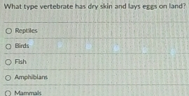 What type vertebrate has dry skin and lays eggs on land?
Reptiles
Birds
Fish
Amphibians
Mammals