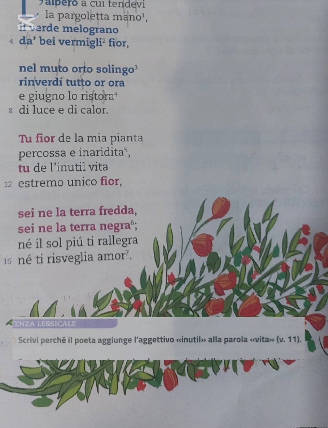 yalbero a cui tendevi 
la pargoletta mano¹, 
elograno
4 da’ bei vermigli² fior, 
nel muto orto solingo³ 
rinverdí tutto or ora 
e giugno lo ristoraª 
§ di luce e di calor. 
Tu fior de la mia pianta 
percossa e inaridita⁵, 
tu de l’inutil vita 
12 estremo unico fior, 
sei ne la terra fredda, 
sei ne la terra negraó; 
né il sol piú ti rallegra 
6 é ti risveglia amor'. 
ENZA LESSICALE 
Scrivi perché il poeta aggiunge l’aggettivo «inutil» alla parola «vita» (v.11).