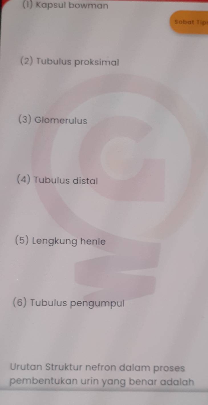 (1) Kapsul bowman 
Sobat Tip 
(2) Tubulus proksimal 
(3) Glomerulus 
(4) Tubulus distal 
(5) Lengkung henle 
(6) Tubulus pengumpul 
Urutan Struktur nefron dalam proses 
pembentukan urin yang benar adalah