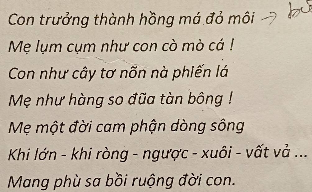 Con trưởng thành hồng má đỏ môi 
Mẹ lụm cụm như con cò mò cá ! 
Con như cây tơ nõn nà phiến lá 
Mẹ như hàng so đũa tàn bông ! 
Mẹ một đời cam phận dòng sông 
Khi lớn - khi ròng - ngược - xuôi - vất vả ... 
Mang phù sa bồi ruộng đời con.