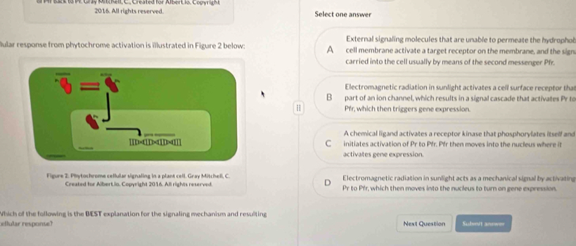 Gr M r 1lk to PE Grsy Mitereil C. Crestea for Albert is. Capyng h t
2016. All rights reserved. Select one answer
External signaling molecules that are unable to permeate the hydrophol
lular response from phytochrome activation is illustrated in Figure 2 below: A cell membrane activate a target receptor on the membrane, and the sign
carried into the cell usually by means of the second messenger Pfr.
overline ?Z= Electromagnetic radiation in sunlight activates a cell surface receptor tha
B part of an ion channel, which results in a signal cascade that activates Pr to
Pfr, which then triggers gene expression.
A chemical ligand activates a receptor kinase that phosphorylates itself and
IID aIII C initiates activation of Pr to Pfr. Pfr then moves into the nucleus where it
activates gene expression.
Figure 2: Phytochrome cellular signaling in a plant cell. Gray Mitchell, C. Electromagnetic radiation in sunlight acts as a mechanical signal by activating
Created for Albert.io. Copyright 2016. All rights reserved. Pr to Pfr, which then moves into the nucleus to turn an gene expression.
Which of the following is the BEST explanation for the signaling mechanism and resulting
eflular response? Next Question Subenit answer