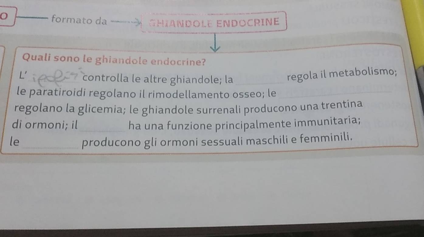 formato da 
GHIANDOLE ENDOCRINE 
Quali sono le ghiandole endocrine? 
L' __regola il metabolismo; 
controlla le altre ghiandole; la 
le paratiroidi regolano il rimodellamento osseo; le_ 
regolano la glicemia; le ghiandole surrenali producono una trentina 
di ormoni; il_ ha una funzione principalmente immunitaria; 
le_ producono gli ormoni sessuali maschili e femminili.