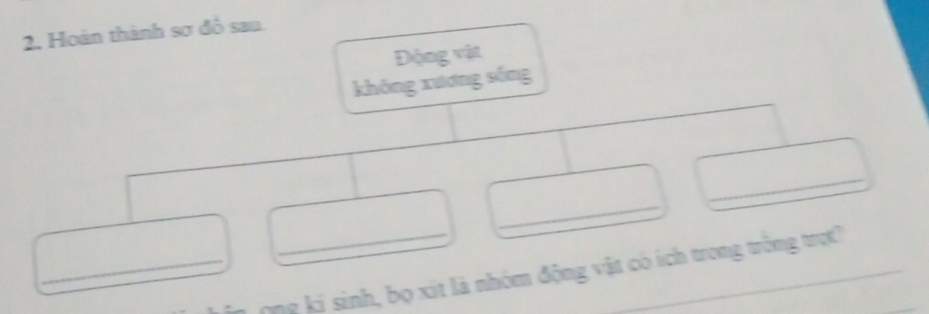 Hoàn thành sơ đỗ sau. 
Động vật 
không xương sống 
_ 
_ 
_in ong ki sinh, bọ xít là nhóm động vật có ích trong trống trợt
