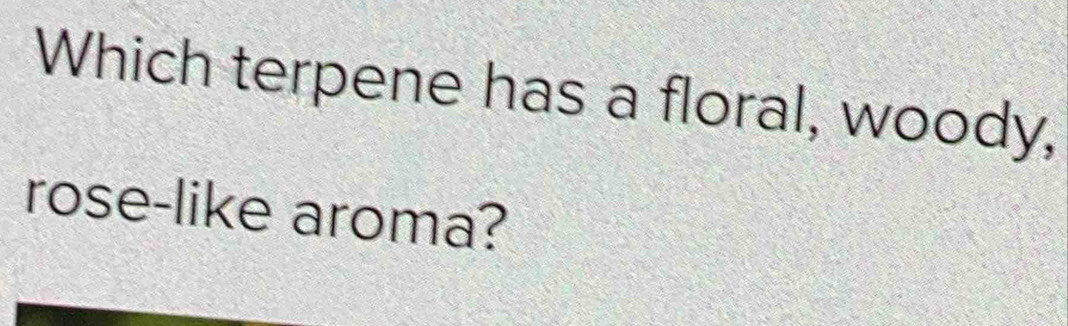 Which terpene has a floral, woody, 
rose-like aroma?