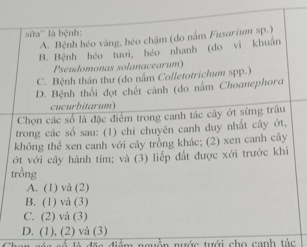 sữa'' là bệnh:
A. Bệnh héo vàng, héo chậm (do nấm Fusarium sp.)
B. Bệnh héo tươi, héo nhanh (do vi khuẩn
Pseudomonas solanacearum)
C. Bệnh thán thư (do nấm Colletotrichum spp.)
D. Bệnh thối đọt chết cành (do nấm Choanephora
cucurbitarum)
Chọn các số là đặc điểm trong canh tác cây ớt sừng trâu
trong các số sau: (1) chỉ chuyên canh duy nhất cây ớt,
không thể xen canh với cây trồng khác; (2) xen canh cây
ớt với cây hành tím; và (3) liếp đất được xới trước khi
trồng
A. (1) và (2)
B. (1) và (3)
C. (2) và (3)
D. (1), (2) và (3)
Chác diểm nguồn nước tưới cho canh tác