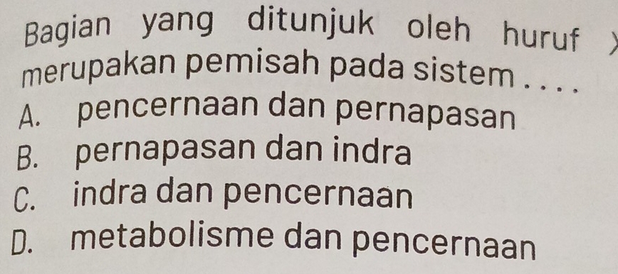 Bagian yang ditunjuk oleh huruf )
merupakan pemisah pada sistem . . . .
A. pencernaan dan pernapasan
B. pernapasan dan indra
C. indra dan pencernaan
D. metabolisme dan pencernaan