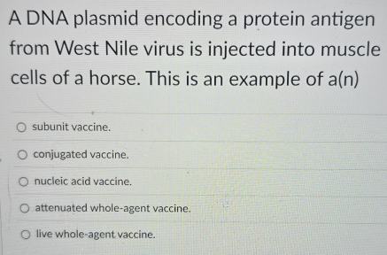 A DNA plasmid encoding a protein antigen
from West Nile virus is injected into muscle
cells of a horse. This is an example of a(n)
subunit vaccine.
conjugated vaccine.
nucleic acid vaccine.
attenuated whole-agent vaccine.
live whole-agent vaccine.