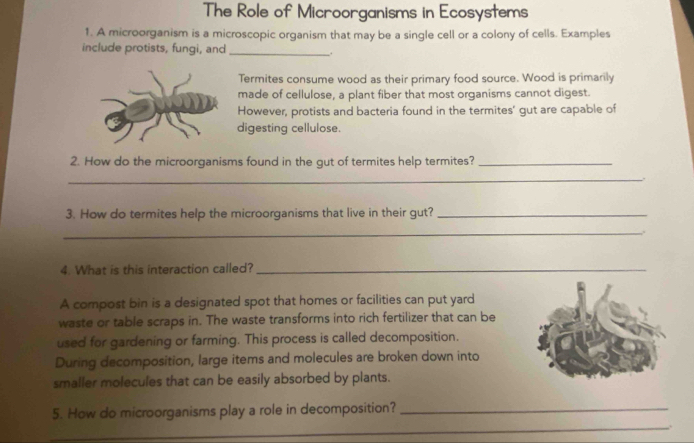 The Role of Microorganisms in Ecosystems 
1. A microorganism is a microscopic organism that may be a single cell or a colony of cells. Examples 
include protists, fungi, and _. 
Termites consume wood as their primary food source. Wood is primarily 
made of cellulose, a plant fiber that most organisms cannot digest. 
However, protists and bacteria found in the termites' gut are capable of 
digesting cellulose. 
2. How do the microorganisms found in the gut of termites help termites?_ 
_ 
3. How do termites help the microorganisms that live in their gut?_ 
_ 
4. What is this interaction called?_ 
A compost bin is a designated spot that homes or facilities can put yard 
waste or table scraps in. The waste transforms into rich fertilizer that can be 
used for gardening or farming. This process is called decomposition. 
During decomposition, large items and molecules are broken down into 
smaller molecules that can be easily absorbed by plants. 
_ 
5. How do microorganisms play a role in decomposition?_