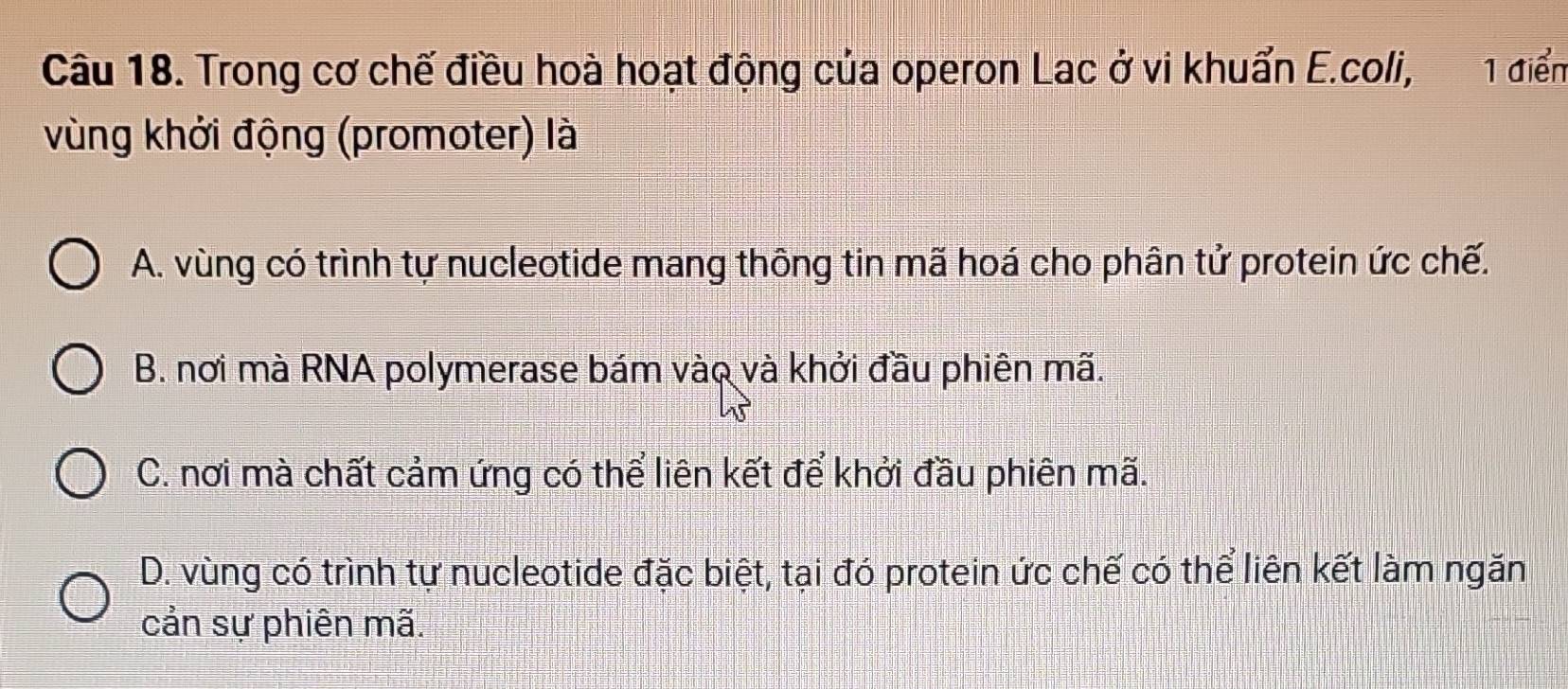 Trong cơ chế điều hoà hoạt động của operon Lac ở vi khuẩn E.coli, 1 điển
vùng khởi động (promoter) là
A. vùng có trình tự nucleotide mang thông tin mã hoá cho phân tử protein ức chế.
B. nơi mà RNA polymerase bám vào và khởi đầu phiên mã.
C. nơi mà chất cảm ứng có thể liên kết để khởi đầu phiên mã.
D. vùng có trình tự nucleotide đặc biệt, tại đó protein ức chế có thể liên kết làm ngăn
cản sự phiên mã.