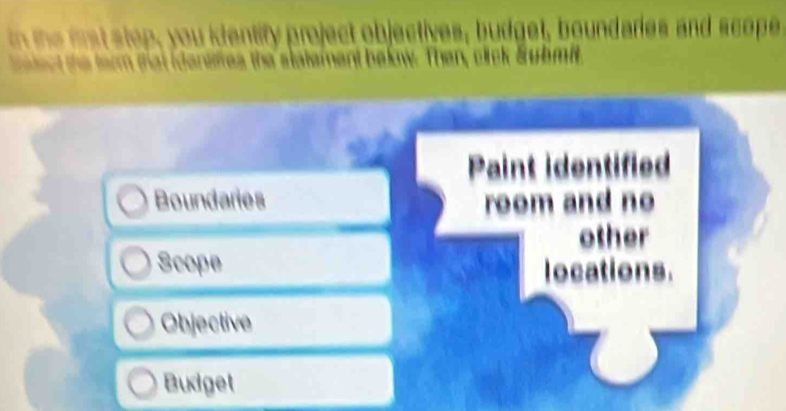 lectives, budget, boundares and scope 

hakow. Then, click Submit. 
Paint identified 
Boundaries room and no 
other 
Scope locations. 
Objective 
Budget