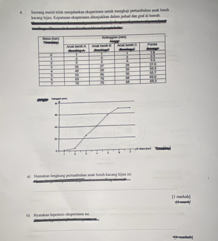 Seorang murid telah menjalankan eksperimen untuk mengkaji pertumbuhan anak benih 
kacang hijau. Keputusan eksperimen ditunjukkan dalam jadual dan graf di bawah. 
a) Namakan lengkung pertumbuhan anak benih kacang hijau ini 
_ 
[1 markah] 
b) Nyatakan hipotesis eksperimen ini. 
_