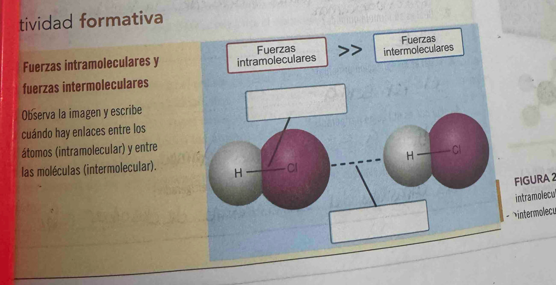 tividad formativa 
Fuerzas intramoleculares y 
fuerzas intermoleculares 
Observa la imagen y escribe 
cuándo hay enlaces entre los 
átomos (intramolecular) y entre 
las moléculas (intermolecular). 
FIGURA 2 
intramolecul 
ntermolecu