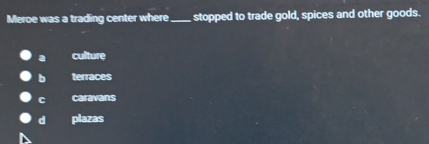Meroe was a trading center where _stopped to trade gold, spices and other goods.
a culture
b terraces
C caravans
d plazas