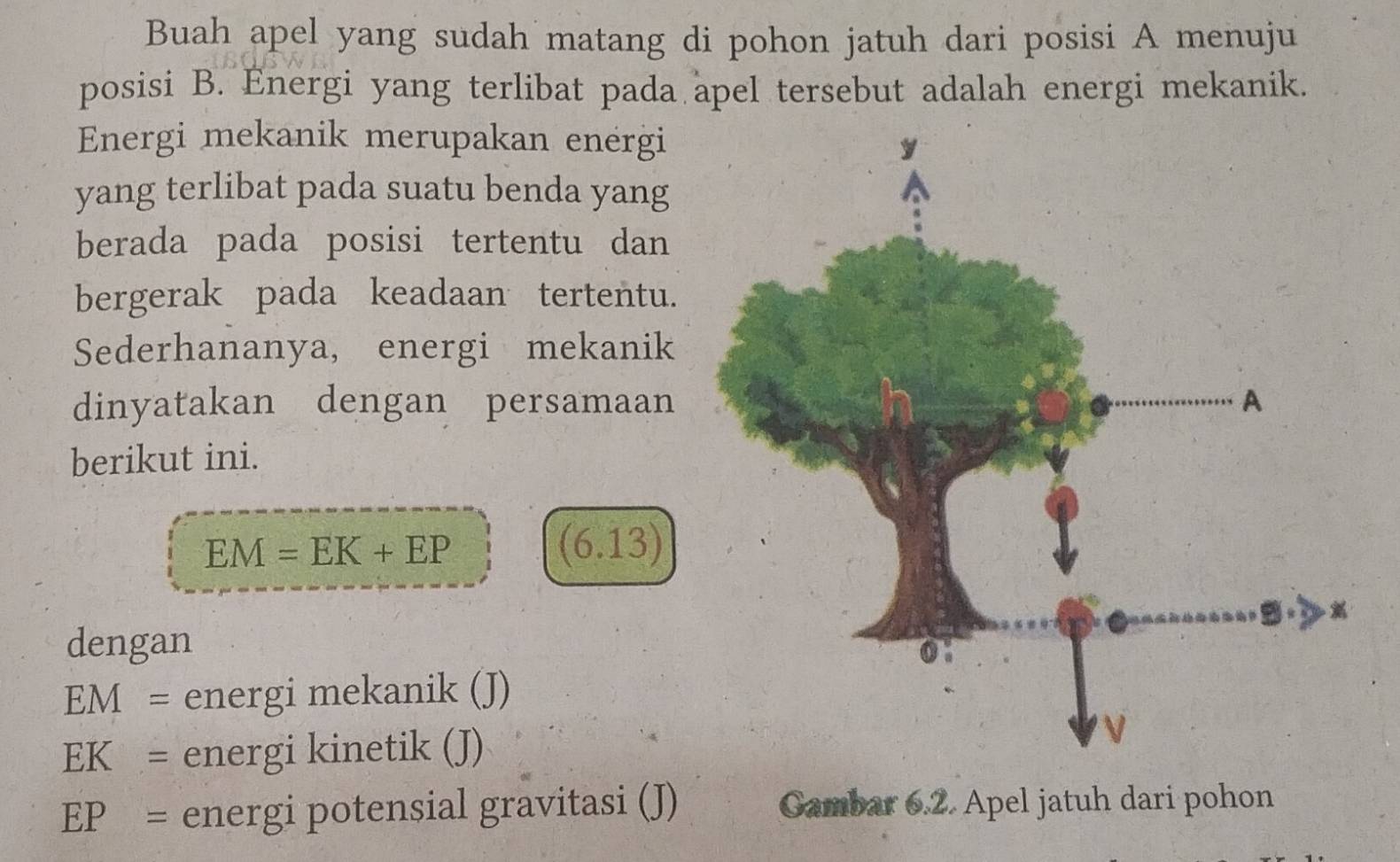 Buah apel yang sudah matang di pohon jatuh dari posisi A menuju 
posisi B. Energi yang terlibat pada apel tersebut adalah energi mekanik. 
Energi mekanik merupakan energi 
yang terlibat pada suatu benda yang 
berada pada posisi tertentu dan 
bergerak pada keadaan tertentu. 
Sederhananya, energi mekanik 
dinyatakan dengan persamaan 
berikut ini.
EM=EK+EP
(6.13)
dengan
EM= energi mekanik (J)
EK= energi kinetik (J)
EP= energi potensial gravitasi (J) Gambar 6.2. Apel jatuh dari pohon