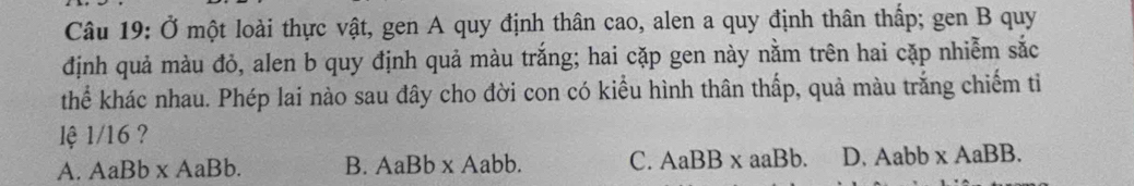 Ở một loài thực vật, gen A quy định thân cao, alen a quy định thân thấp; gen B quy
định quả màu đỏ, alen b quy định quả màu trắng; hai cặp gen này nằm trên hai cặp nhiễm sắc
thể khác nhau. Phép lai nào sau đây cho đời con có kiểu hình thân thấp, quả màu trắng chiếm tỉ
lệ 1/16 ?
A. AaBb* AaBb. B. AaBb* Aabb. C. AaBB* aaBb. D. Aabb* AaBB.