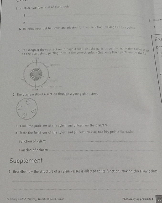 a State two functions of plant roots. 
1 
_ 
_ 
5 State t 
2 
b Describe how root hair cells are adapted for their function, making two key points 1 
_ 
_ 
Exa 
c The diagram shows a section through a root List the parts through which water passes to gr Cor 
to the plant stem, putting them in the correct order. (Clue: only three parts are involved. 1 
_ 
2 
2 The diagram shows a section through a young plant stem. 
a Label the positions of the xylem and phloem on the diagram. 
b State the functions of the xylem and phloem, making two key points for each. 
Function of xylem:_ 
Function of phloem:_ 
Supplement 
3 Describe how the structure of a xylem vessel is adapted to its function, making three key points. 
_ 
_ 
Cambridge IGCSE'' Biotogy Workbook Third Edition Pholocopying prohibited 33