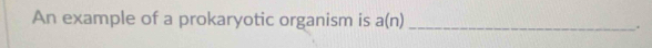 An example of a prokaryotic organism is a(n) _ .