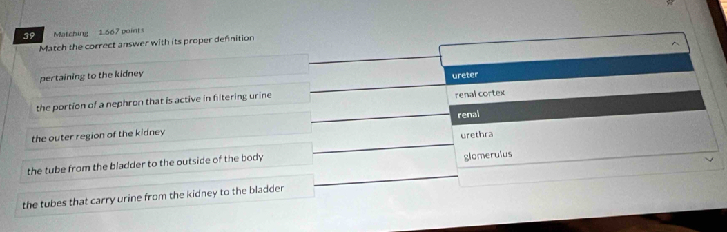 Matching 1667 points
Match the correct answer with its proper defnition
pertaining to the kidney ureter
the portion of a nephron that is active in fltering urine renal cortex
renal
the outer region of the kidney
glomerulus
the tube from the bladder to the outside of the body urethra
the tubes that carry urine from the kidney to the bladder