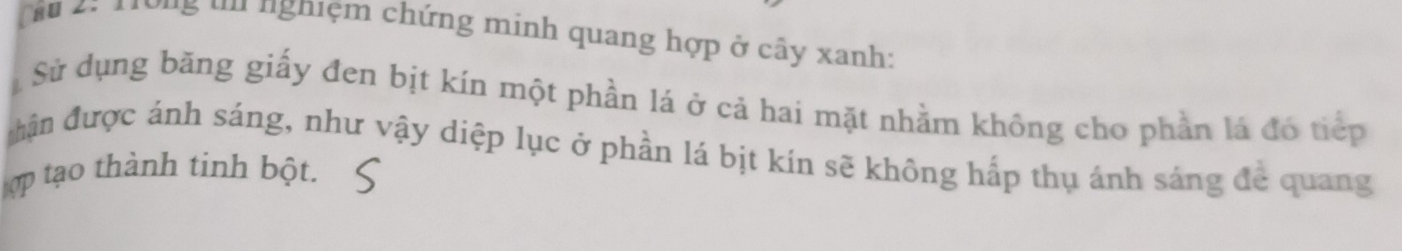 2: 1rợng tn nghiệm chứng minh quang hợp ở cây xanh: 
Sử dụng băng giấy đen bịt kín một phần lá ở cả hai mặt nhằm không cho phần lá đó tiếp 
đhận được ánh sáng, như vậy diệp lục ở phần lá bịt kín sẽ không hấp thụ ánh sáng để quang 
ợp tạo thành tinh bột.