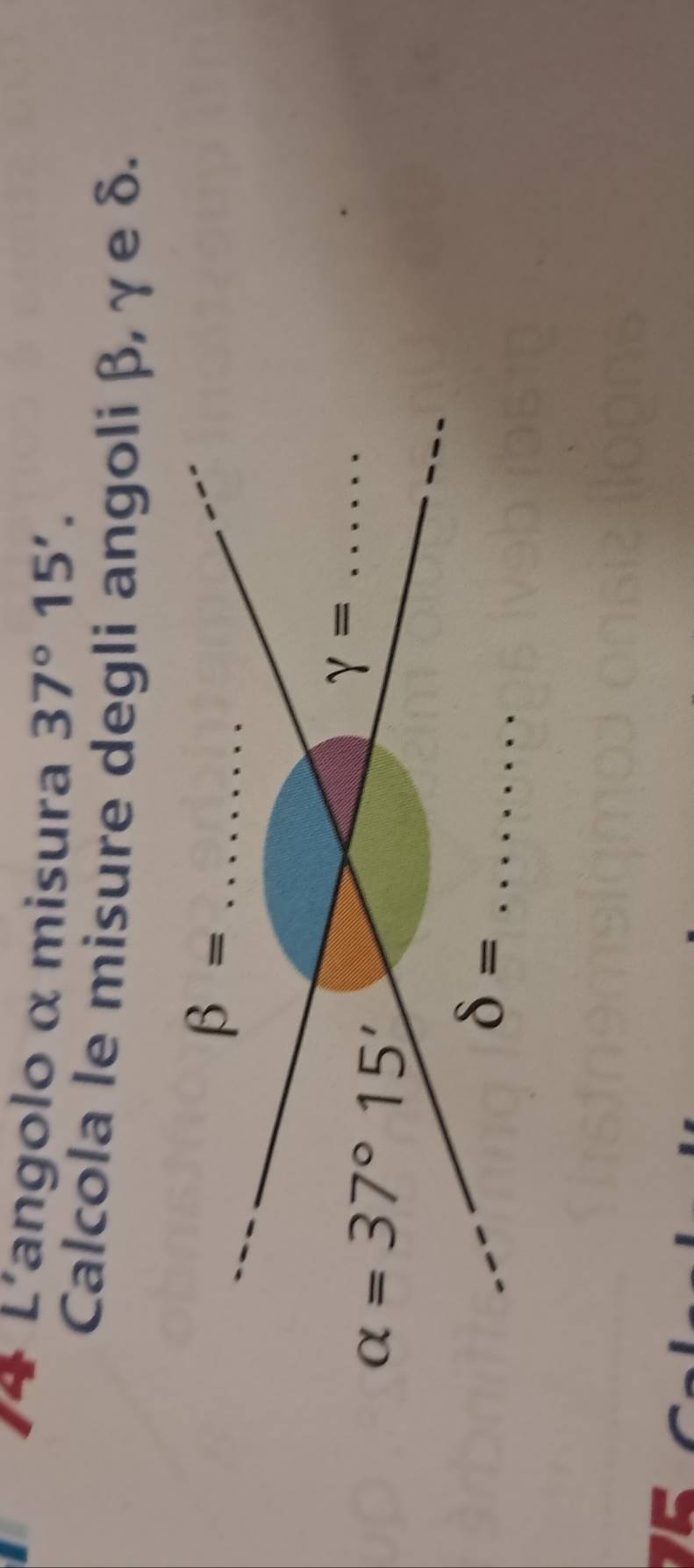 L'angolo α misura 37°15'.
Calcola le misure degli angoli β, γ e δ.
