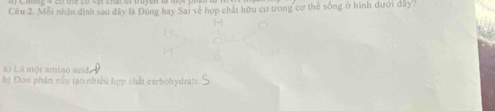 Mỗi nhận định sau đây là Đùng hay Sai về hợp chất hữu cơ trong cơ thể sống ở hình đưới dây?
a) Là một amino acid
b) Đơn phân cầu tạo nhiều hợp chất carbohydrate.