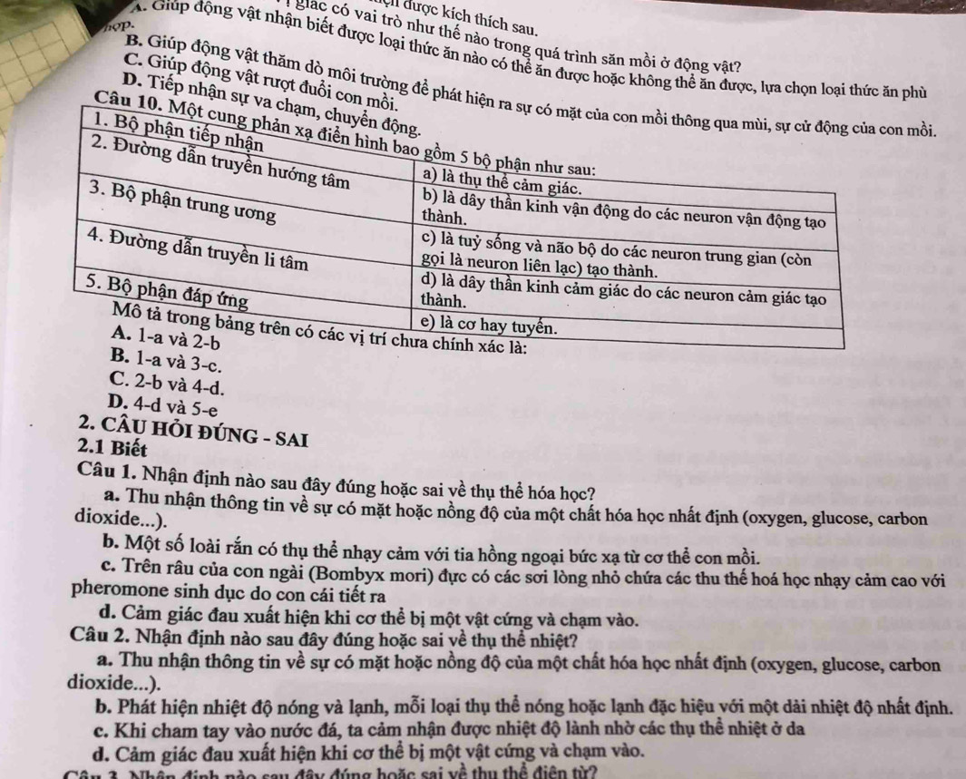 Ch được kích thích sau,
hop.
:  giac có vai trò như thế nào trong quá trình săn mồi ở động vật?
A. Giúp động vật nhận biết được loại thức ăn nào có thể ăn được hoặc không thể ăn được, lựa chọn loại thức ăn phủ
C. Giúp động vật rượt đuổi con mồ
B. Giúp động vật thăm dò môi trường để phát hiệnmồi
D. Tiếp nhận sự v
Câu 1
-a và 3-c.
C. 2-b và 4-d.
D. 4-d và 5-e
2. CÂU HI ĐÚNG - SAI
2.1 Biết
Câu 1. Nhận định nào sau đây đúng hoặc sai về thụ thể hóa học?
a. Thu nhận thông tin về sự có mặt hoặc nồng độ của một chất hóa học nhất định (oxygen, glucose, carbon
dioxide...).
b. Một số loài rắn có thụ thể nhạy cảm với tia hồng ngoại bức xạ từ cơ thể con mồi.
c. Trên râu của con ngài (Bombyx mori) đực có các sơi lòng nhỏ chứa các thu thế hoá học nhạy cảm cao với
pheromone sinh dục do con cái tiết ra
d. Cảm giác đau xuất hiện khi cơ thể bị một vật cứng và chạm vào.
Câu 2. Nhận định nào sau đây đúng hoặc sai về thụ thể nhiệt?
a. Thu nhận thông tin về sự có mặt hoặc nồng độ của một chất hóa học nhất định (oxygen, glucose, carbon
dioxide...).
b. Phát hiện nhiệt độ nóng và lạnh, mỗi loại thụ thể nóng hoặc lạnh đặc hiệu với một dài nhiệt độ nhất định.
c. Khi cham tay vào nước đá, ta cảm nhận được nhiệt độ lành nhờ các thụ thể nhiệt ở da
d. Cảm giác đau xuất hiện khi cơ thể bị một vật cứng và chạm vào.
1o sau đây đúng hoặc sai yề thụ thể điện từ2