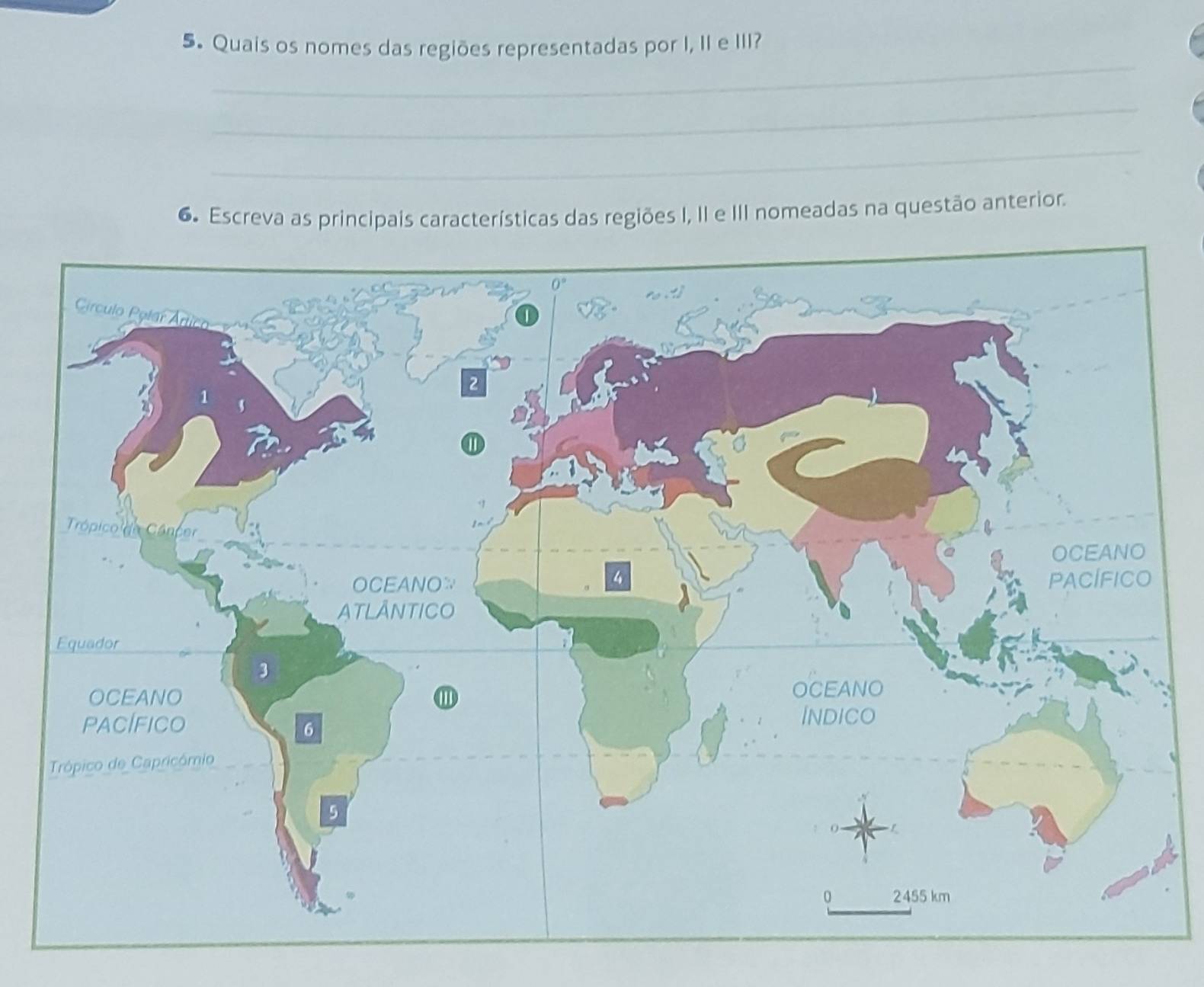 Quais os nomes das regiões representadas por I, II e III? 
_ 
_ 
_ 
_ 
_ 
_ 
6. Escreva as principais características das regiões I, II e III nomeadas na questão anterior.