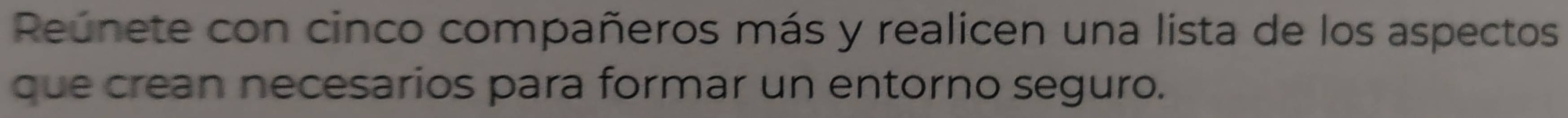 Reúnete con cinco compañeros más y realicen una lista de los aspectos 
que crean necesarios para formar un entorno seguro.