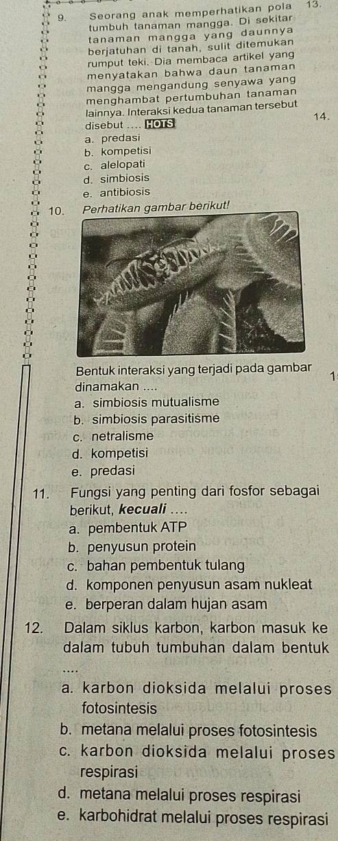 Seorang anak memperhatikan pola 13.
tumbuh tanaman mangga. Di sekitar
tanaman mangga yang daunnya
berjatuhan di tanah, sulit ditemukan
rumput teki. Dia membaca artikel yang
menyatakan bahwa daun tanaman 
mangga mengandung senyawa yang
menghambat pertumbuhan tanaman
lainnya. Interaksi kedua tanaman tersebut
disebut .... HOTS 14.
a. predasi
b. kompetisi
c. alelopati
d. simbiosis
e. antibiosis
10. Perhatikan gambar berikut!
Bentuk interaksi yang terjadi pada gambar 1
dinamakan ....
a. simbiosis mutualisme
b. simbiosis parasitisme
c. netralisme
d. kompetisi
e. predasi
11. Fungsi yang penting dari fosfor sebagai
berikut, kecuali ….
a. pembentuk ATP
b. penyusun protein
c. bahan pembentuk tulang
d. komponen penyusun asam nukleat
e. berperan dalam hujan asam
12. Dalam siklus karbon, karbon masuk ke
dalam tubuh tumbuhan dalam bentuk
…
a. karbon dioksida melalui proses
fotosintesis
b. metana melalui proses fotosintesis
c. karbon dioksida melalui proses
respirasi
d. metana melalui proses respirasi
e. karbohidrat melalui proses respirasi