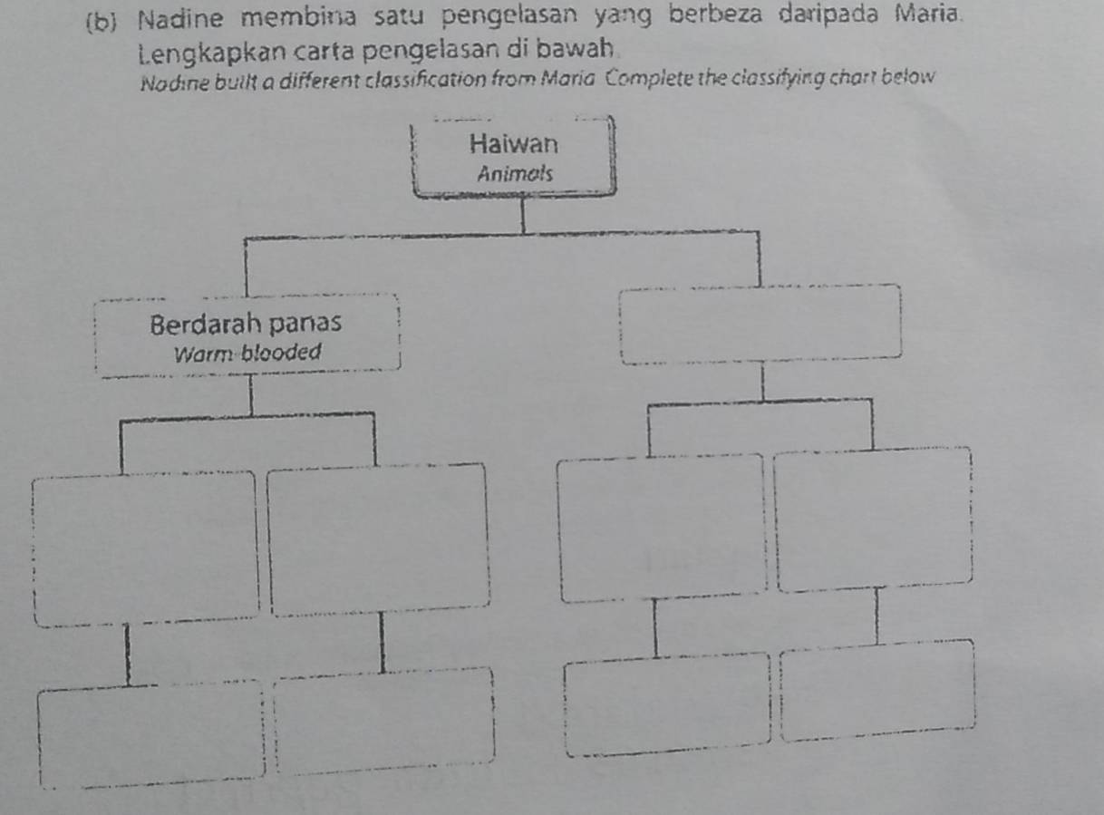 Nadine membina satu pengelasan yang berbeza daripada Maria. 
Lengkapkan carta pengelasan di bawah 
Nadine built a different classification from Maria Complete the classifying chart below