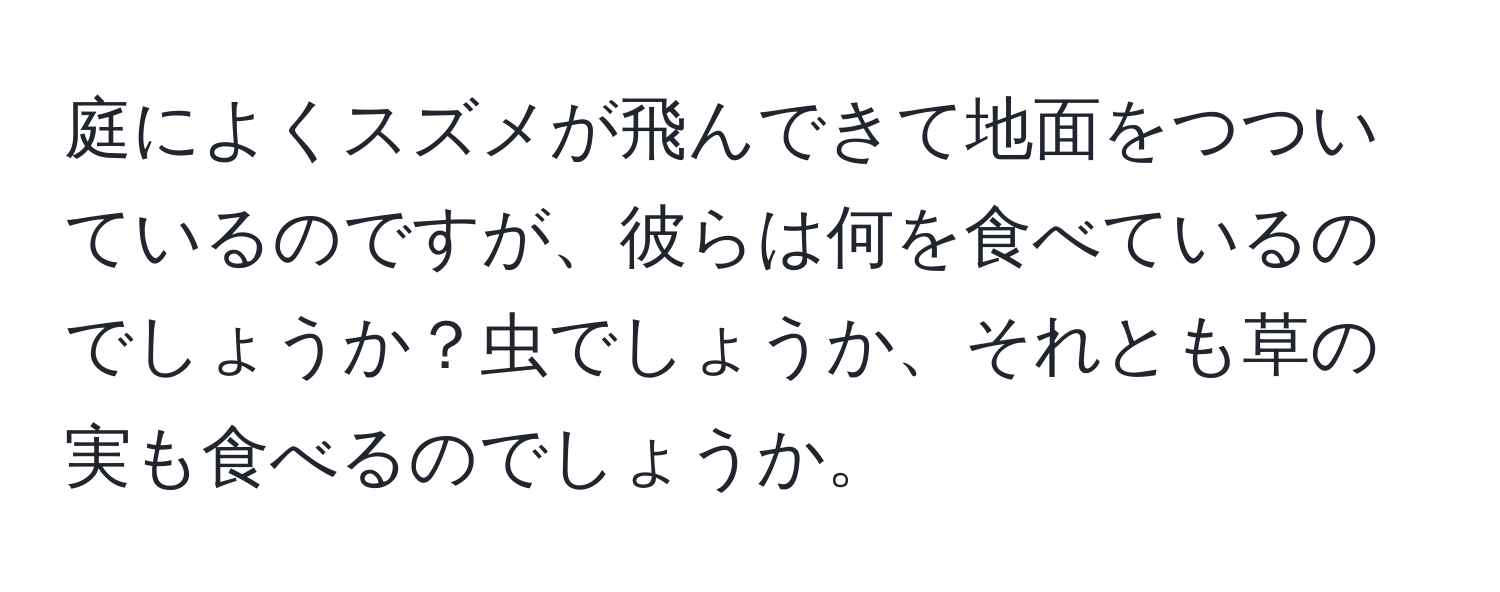 庭によくスズメが飛んできて地面をつついているのですが、彼らは何を食べているのでしょうか？虫でしょうか、それとも草の実も食べるのでしょうか。