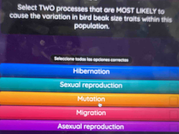 Select TWO processes that are MOST LIKELY to
cause the variation in bird beak size traits within this
population.
Seleccione todas las apciones correctes
Hibernation
Sexual reproduction
Mutation
Migration
Asexual reproduction