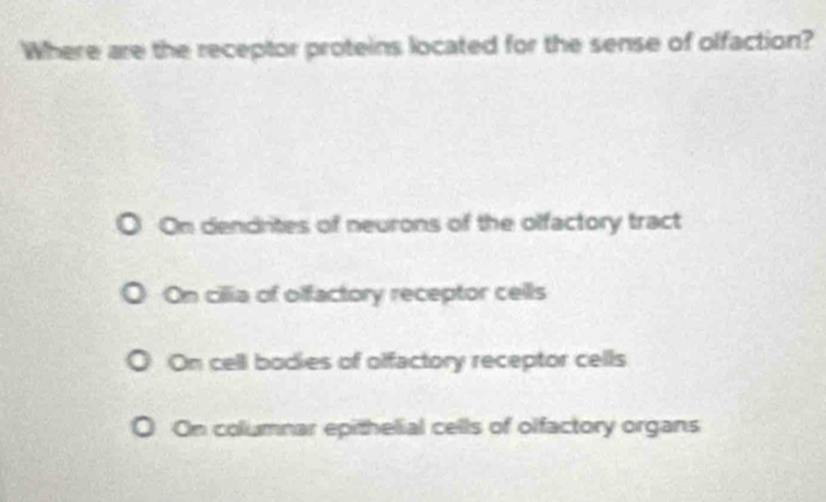 Where are the receptor proteins located for the sense of olfaction?
On dendrites of neurons of the olfactory tract
On cillia of olfactory receptor cells
On cell bodies of olfactory receptor cells
On columnar epithelial cells of olfactory organs