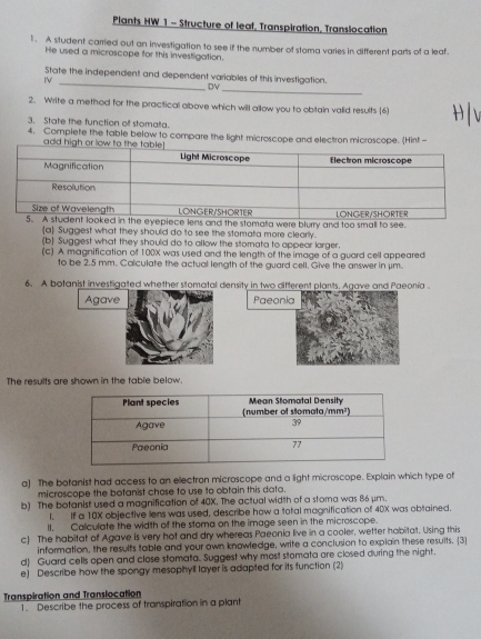 Plants HW 1 - Structure of leaf, Transpiration, Translocation 
l . A student carried out an investigation to see if the number of stoma varies in different parts of a leaf 
He used a microscope for this investigation. 
_ 
_ 
State the independent and dependent variables of this investigation. 
IV 
DV 
2. Write a method for the practical above which will allow you to obtain valid results (6) 
3. State the function of stomata. 
4. Complete the table below to compare the light microscope and electron microscope. (Hint- 
were blurry and too small to see. 
a Suggest what they should do to see the stomata more clearly. 
(b] Suggest what they should do to allow the stomata to appear larger. 
(c) A magnification of 100X was used and the length of the image of a guard cell appeared 
to be 2.5 mm. Calculate the actual length of the guard cell. Give the answer in μm. 
6. A botanist investigated whether stomatal density in two difterent plants, Agave and Paeonia . 
Paeonia 
The results are shown in the table below. 
a) The botanist had access to an electron microscope and a light microscope. Explain which type of 
microscope the botanist chose to use to obtain this data. 
b) The botanist used a magnification of 40X. The actual width of a stoma was 86 μm. 
l. If a 10X objective lens was used, describe how a total magnification of 40X was obtained. 
ll. Calculate the width of the stoma on the image seen in the microscope. 
c) The habitat of Agave is very hot and dry whereas Paeonia live in a cooler, wetter habitat. Using this 
information, the results table and your own knowledge, write a conclusion to explain these resuits. (3 
d) Guard cells open and close stomata. Suggest why most stomata are closed during the night. 
e) Describe how the spongy mesophyll layer is adapted for its function (2) 
Transpiration and Translocation 
1. Describe the process of transpiration in a plant