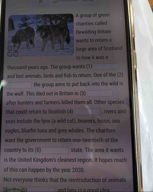 group of green 
harities called 
ewilding Britain 
ants to return a 
arge area of Scotland 
o how it was a 
thousand years ago. The group wants (1) □
and lost animals, birds and fish to return. One of the (2) 
□ the group aims to put back into the wild is 
the wolf. This died out in Britain in (3) □ 
after hunters and farmers killed them all. Other species 
that could return to Scottish (4) □ , rivers and 
seas include the lynx (a wild cat), beavers, bison, sea 
eagles, bluefin tuna and grey whales. The charities 
want the government to return one-twentieth of the 
country to its (5) □ state. The area it wants 
is the United Kingdom's cleanest region. It hopes much 
of this can happen by the year 2030. 
Not everyone thinks that the reintroduction of animals 
like the (6) □ and lvnx is a good idea .