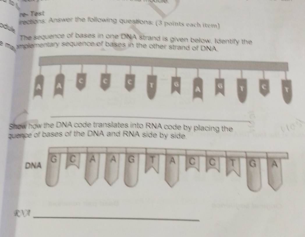 re- Test 
irections: Answer the following questions: (3 points each item) 
odule 
The sequence of bases in one DNA strand is given below. Identify the 
E mapmplementary sequence of bases in the other strand of DNA. 
Show how the DNA code translates into RNA code by placing the 
quence of bases of the DNA and RNA side by side. 
RNA_