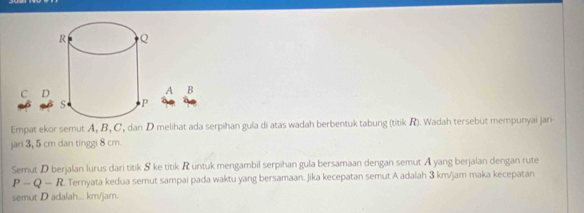 Empat ekor semut A, B, C, dan D melihat ada serpihan gula di atas wadah berbentuk tabung (titik R). Wadah tersebut mempunyai jari- 
jari 3, 5 cm dan tinggi 8 cm. 
Semut D berjalan lurus dari titik S ke titik R untuk mengambil serpihan gula bersamaan dengan semut A yang berjalan dengan rute
P-Q-R Ternyata kedua semut sampai pada waktu yang bersamaan. Jika kecepatan semut A adalah 3 km/jam maka kecepatan 
semut D adalah... km/jam.