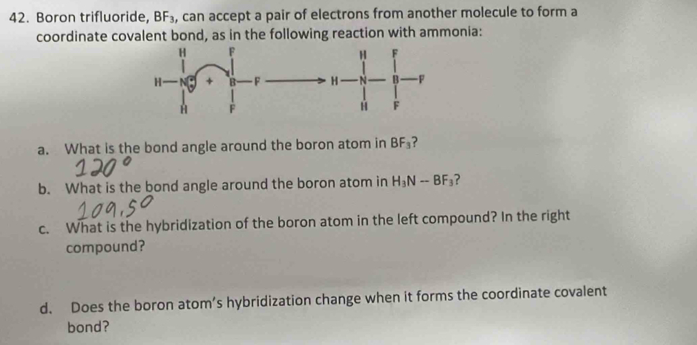 Boron trifluoride, BF_3 , can accept a pair of electrons from another molecule to form a 
coordinate covalent bond, as in the following reaction with ammonia: 
a. What is the bond angle around the boron atom in BF_3 ? 
b. What is the bond angle around the boron atom in H_3N-BF_3 ? 
c. What is the hybridization of the boron atom in the left compound? In the right 
compound? 
d. Does the boron atom’s hybridization change when it forms the coordinate covalent 
bond?