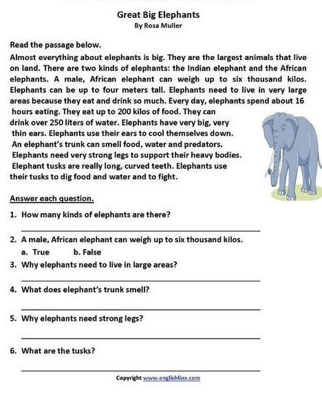 Great Big Elephants
By Rosa Muller
Read the passage below.
Almost everything about elephants is big. They are the largest animals that live
on land. There are two kinds of elephants: the Indian elephant and the African
elephants. A male, African elephant can weigh up to six thousand kilos.
Elephants can be up to four meters tall. Elephants need to live in very large
areas because they eat and drink so much. Every day, elephants spend about 16
hours eating. They eat up to 200 kilos of food. They can
drink over 250 liters of water. Elephants have very big, very
thin ears. Elephants use their ears to cool themselves down.
An elephant’s trunk can smell food, water and predators.
Elephants need very strong legs to support their heavy bodies.
Elephant tusks are really long, curved teeth. Elephants use
their tusks to dig food and water and to fight.
Answer each question.
1. How many kinds of elephants are there?
_
2. A male, African elephant can weigh up to six thousand kilos.
a. True b. False
3. Why elephants need to live in large areas?
_
4. What does elephant's trunk smell?
_
5. Why elephants need strong legs?
_
6. What are the tusks?
_
Copyright www.englishlinx.com