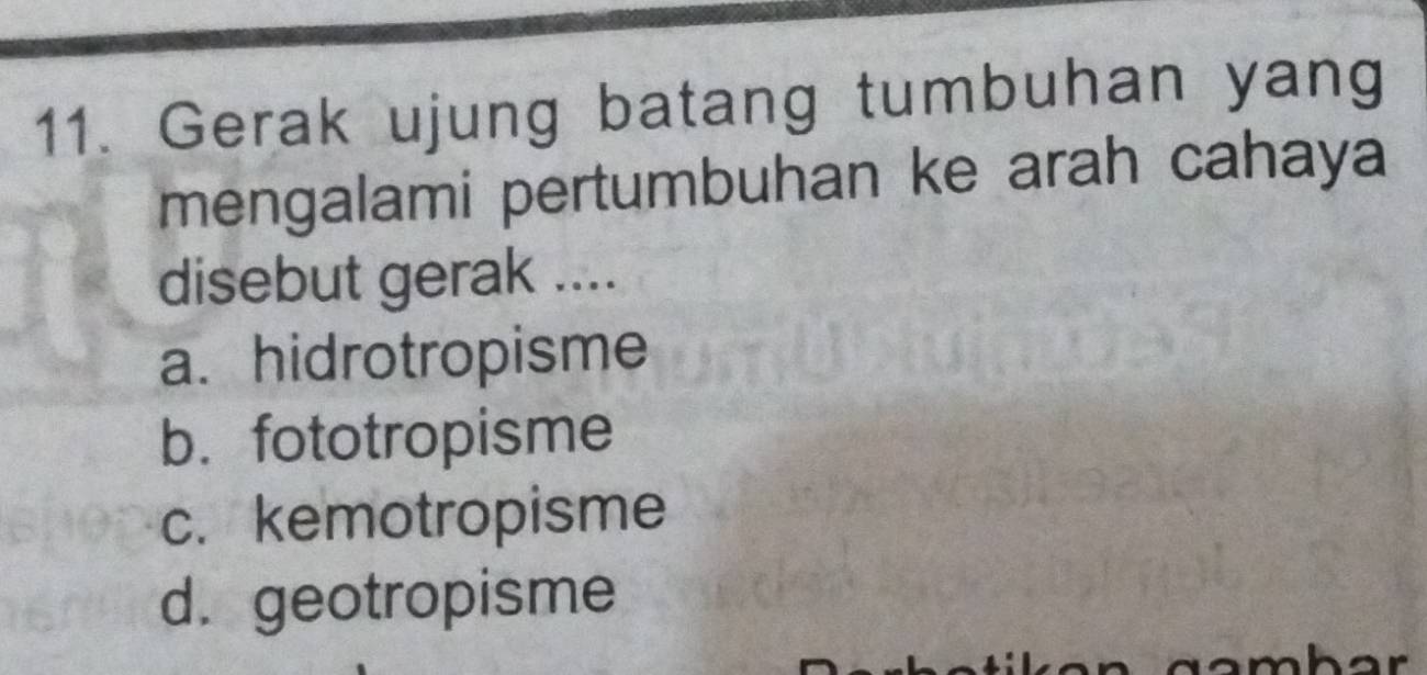 Gerak ujung batang tumbuhan yang
mengalami pertumbuhan ke arah cahaya
disebut gerak ....
a. hidrotropisme
b. fototropisme
c. kemotropisme
d. geotropisme