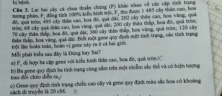 bị bệnh.
Cầu 3. Lai hai cây cả chua thuần chủng (P) khác nhau về các cặp tính trạng
tương phản, F, đồng tính 100% kiểu hình trội, F, thu được 1 485 cây thân cao, hoa
đỏ, quả tròn; 495 cây thân cao, hoa đỏ, quả dài; 202 cây thân cao, hoa vàng, quả
tròn; 68 cây quả thân cao, hoa vàng, quả dài; 200 cây thân thấp, hoa đỏ, quả tròn;
70 cây thân thấp, hoa đó, quả dài; 360 cây thân thấp, hoa vàng, quả tròn; 120 cây
thân thấp, hoa vàng, quả dài. Biết một gene quy định một tính trạng, các tính trạng
ltrội lăn hoàn toàn, hoán vị gene xảy ra ở cả hai giới
Mỗi phát biểu sau đây là Đúng hay Sai?
a) F, đị hợp ba cặp gene với kiểu hình thân cao, hoa đỏ, quả tròn.
b) Ba gene quy định ba tính trạng cùng nằm trên một nhiễm sắc thể và có hiện tượng
trao đổi chéo diễn ra.
c) Gene quy định tính trạng chiều cao cây và gene quy định màu sắc hoa có khoảng
cách di truyền là 20 cM.