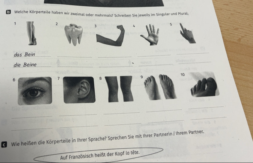 Gelöst:Welche Körperteile haben wir zweimal oder mehrmals? Schreiben ...