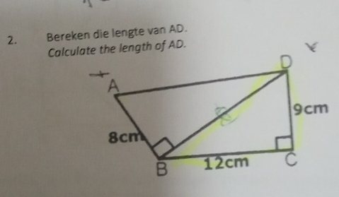 Bereken die lengte van AD. 
Calcule length of AD.