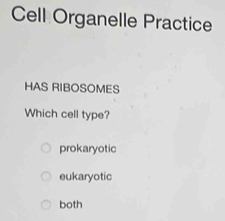 Cell Organelle Practice
HAS RIBOSOMES
Which cell type?
prokaryotic
eukaryotic
both