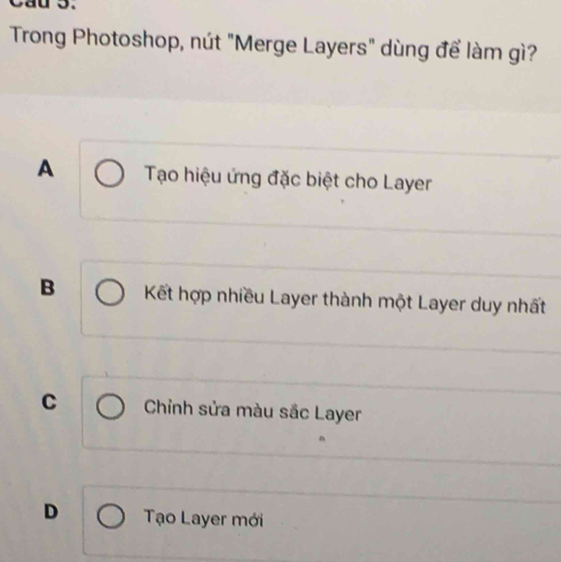 Trong Photoshop, nút "Merge Layers" dùng để làm gì?
A
Tạo hiệu ứng đặc biệt cho Layer
B
Kết hợp nhiều Layer thành một Layer duy nhất
C Chỉnh sửa màu sắc Layer
D
Tạo Layer mới