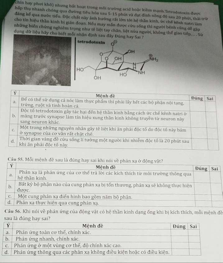 chín hay phơi khô) nhưng bất hoạt trong môi trường acid hoặc kiềm mạnh.Tetrodotoxin được
hấp thụ nhanh chóng qua đường tiêu hóa sau 5-15 phút và đạt đỉnh nồng độ sau 20 phút, thải trừ
đảng kể qua nước tiểu. Độc chất này ảnh hưởng rất lớn tới hệ thần kinh, ức chế kênh natri làm
cho tín hiệu thần kinh bị gián đoạn. Nếu may mắn được cứu sống thì người bệnh cũng dễ gặp
những biến chứng nghiêm trọng như tế liệt tay chân, liệt nửa người, không thế giao tiếp,... . Sử
dụng dữ liệu hãy cho bii nhận định sau đây Đúng h
Mệnh đề
Ý Đúng Sai
Đếể có thể sử dụng cá nóc làm thực phẩm thì phải lấy hết các bộ phận nội tạng,
a. trứng, ruột và tinh hoàn cá.
Độc tố tetrodotoxin gây tác hại đến hệ thần kinh bằng cách ức chế kênh natri ở
b  màng trước synapse làm tín hiệu xung thần kinh không truyền từ neuron này
sang neuron khác.
C. Một trong những nguyên nhân gây tê liệt khi ăn phải độc tố do độc tố này bám
ở synapse của cơ vân rất chặt chẽ.
d. Thời gian vàng đề cứu sống lí tưởng một người khi nhiễm độc tố là 20 phút sau
khi ăn phải độc tố này.
Câu 55. Mỗi mệnh đề s
Câu 56. Khi nói về phản ứng của động vật có hệ thần kinh dạng ống khi bị kích thích, mỗi mệnh đề
sau là đúng hay sai?