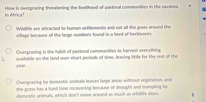 How is overgrazing threatening the livelihood of pastoral communities in the savanna
in Africa?
Wildlife are attracted to human settlements and eat all the grass around the
village because of the large numbers found in a herd of herbivores.
+
Overgrazing is the habit of pastoral communities to harvest everything
available on the land over short periods of time, leaving little for the rest of the
year.
Overgrazing by domestic animals leaves large areas without vegetation, and
the grass has a hard time recovering because of drought and trampling by
domestic animals, which don't move around as much as wildlife does.