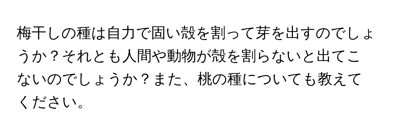 梅干しの種は自力で固い殻を割って芽を出すのでしょうか？それとも人間や動物が殻を割らないと出てこないのでしょうか？また、桃の種についても教えてください。